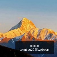 年亚洲石油,采购风向标,凸显供应安,博鱼体育官网,博鱼体育app下载