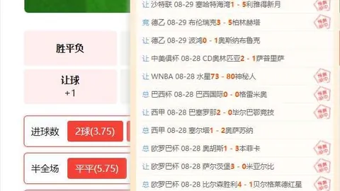 电竞战队阵容调整，备战新赛季