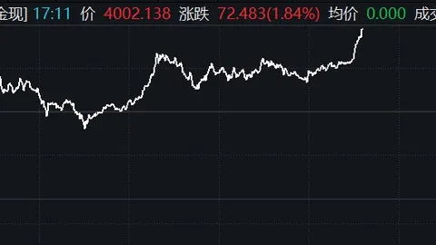 赵继伟精准传球，瀚，博鱼体育官网，森稳固卡位，国家队地位稳固升级